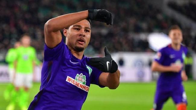 尽管安切洛 尽管安切洛