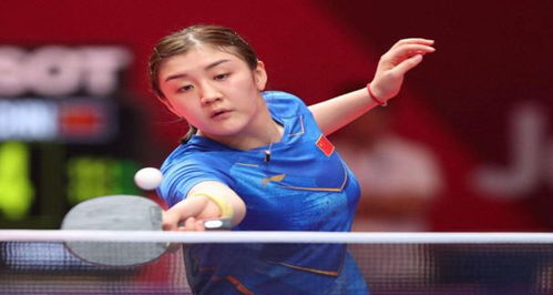 比赛现状 比赛现状