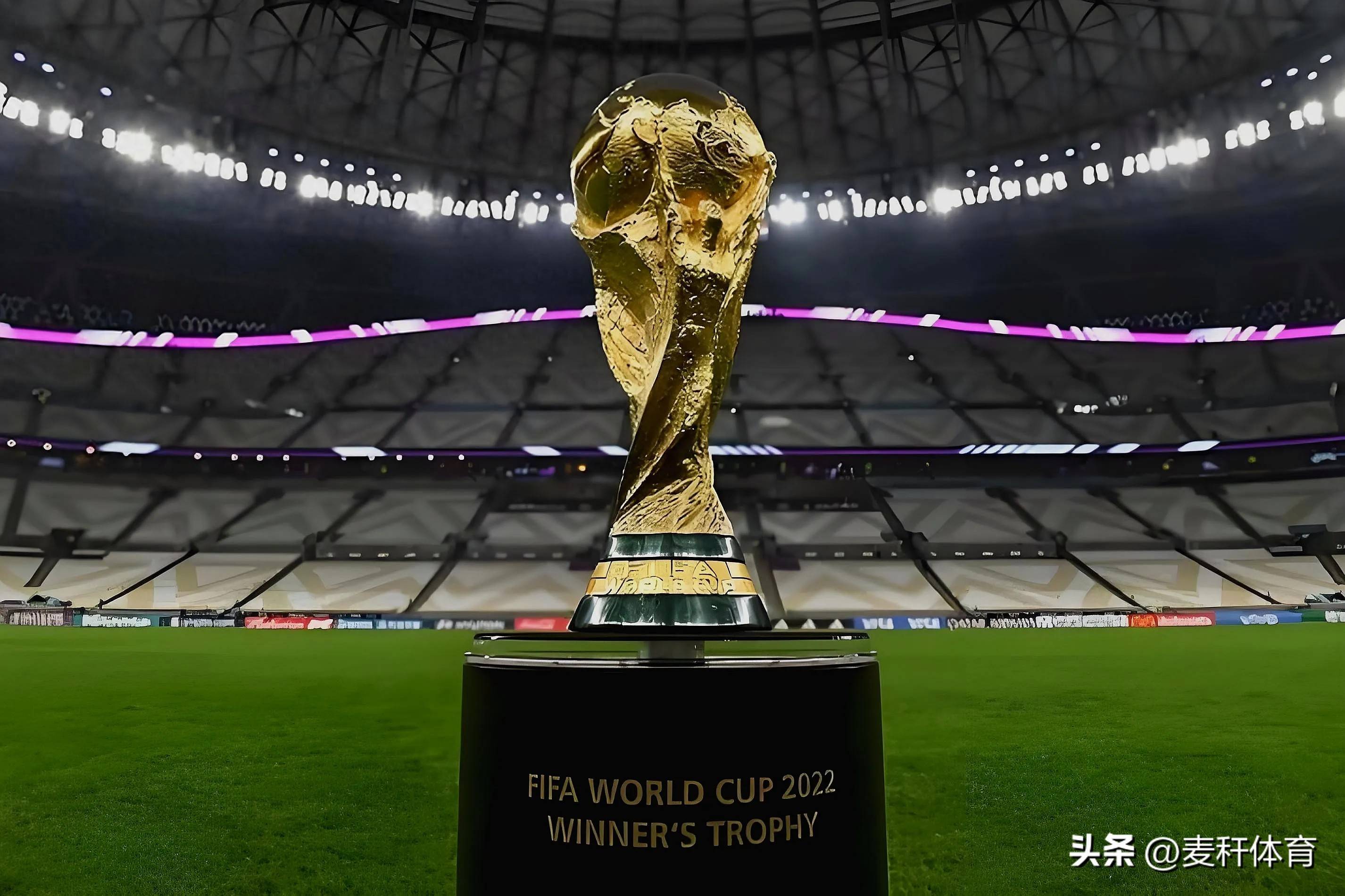 杯在上海的 杯在上海的