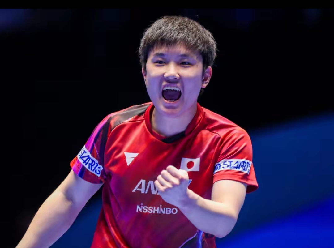 励野区体验 励野区体验